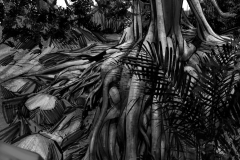 Jonathan_Gesinski_The-Jungle-Book_Mowgli-run_Storyboards_0072